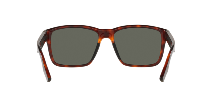 Costa 6S9049 904907 Paunch 